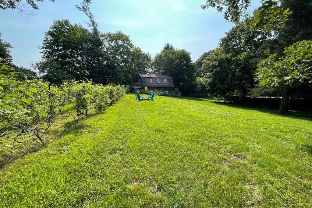 Newly Renovated Carriage House Near Town & Beaches Madison Bagian luar foto